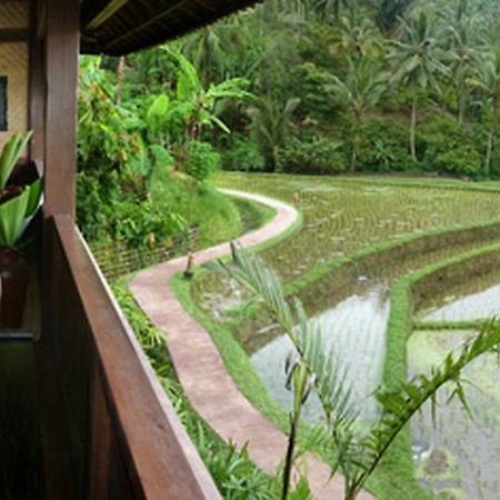 Bali Eco Stay Екстер'єр фото