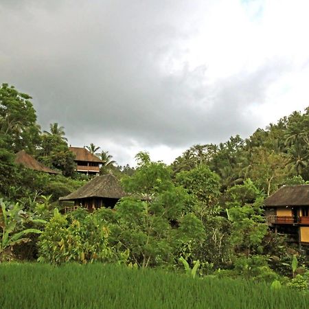 Bali Eco Stay Екстер'єр фото