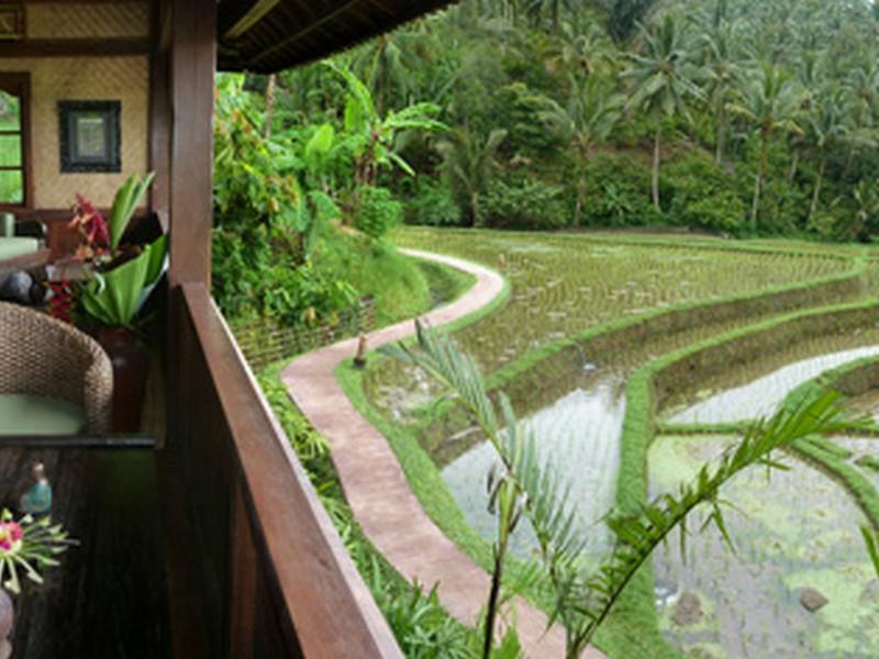 Bali Eco Stay Екстер'єр фото