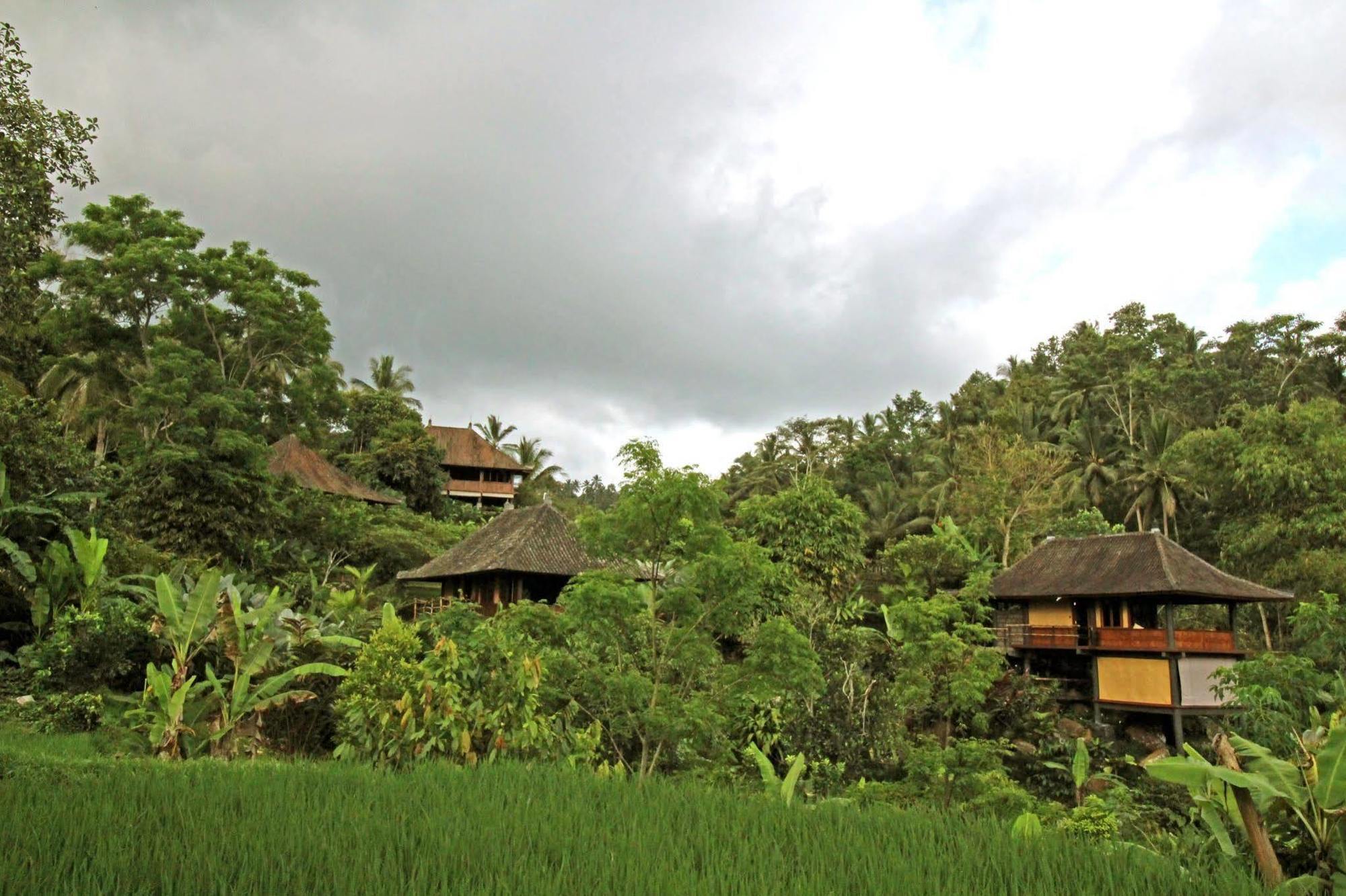 Bali Eco Stay Екстер'єр фото